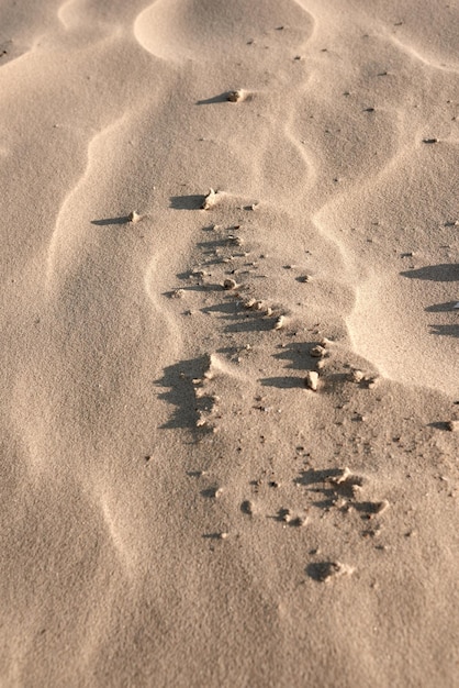 Arena de playa Vista superior de arena de playa Dunas y arena Fondo de textura de playa Uso de fondo para formas y texturas multipropósito Imagen de vista superior de arena del desierto con una piedra y sombra