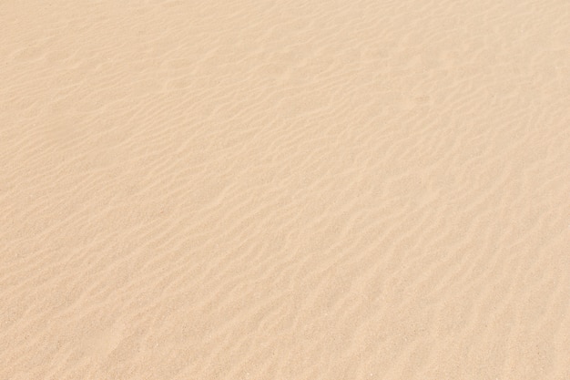 Foto arena de una playa