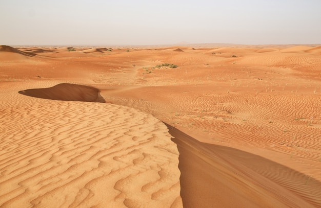 Arena roja del desierto cerca de Dubai