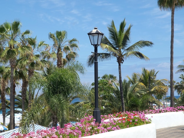 La arena de Tenerife.