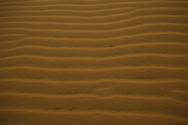 Arena de textura en el desierto