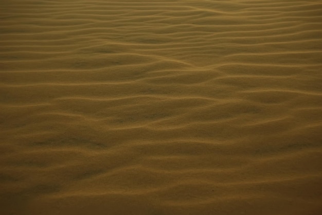 Arena de textura en el desierto