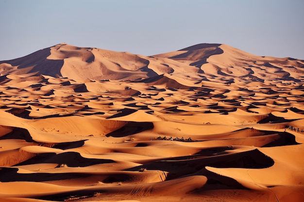 Arenas interminables del desierto del Sahara