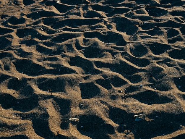 Arenas en la playa al atardecer