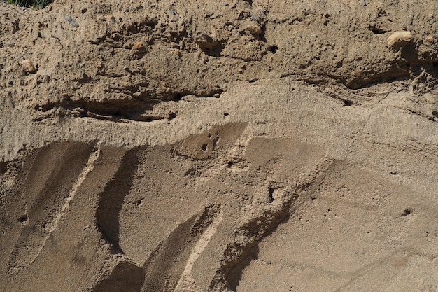 La arenisca es una roca sedimentaria fragmentaria, un agregado homogéneo o en capas de granos fragmentarios y granos de arena unidos por cualquier sustancia mineral, cemento, cantera, pared de arena amarilla natural.