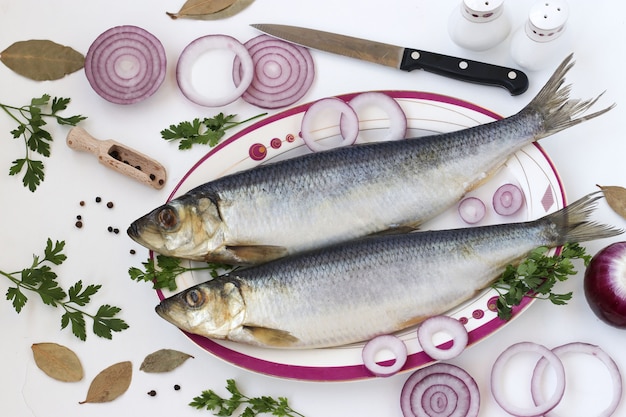 Arenque salgado com cebola roxa, louro e salsa no branco