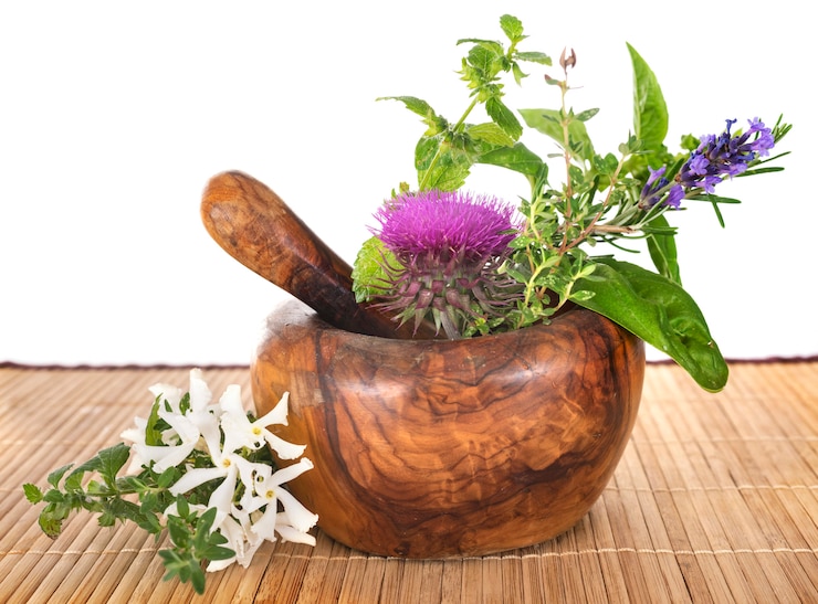 Foto argamassa e plantas