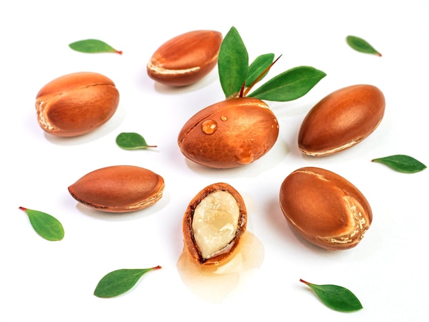 Argan-Nüsse mit grünen Blättern auf einem isolierten weißen Hintergrund