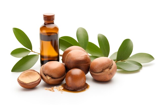 Argan-Samen auf weißem Hintergrund Arganölnüsse mit pflanzlichen Kosmetika und natürlichen Ölen hintergrund erzeugen ai