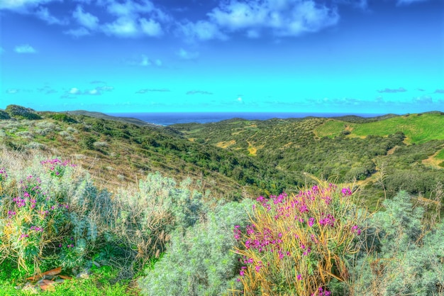 Argentiera-Landschaft im HDR-Ton