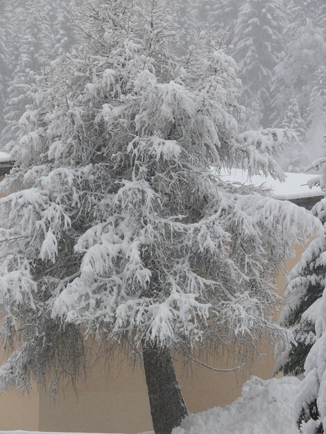 Argentierechamonixhaute savoiefrance