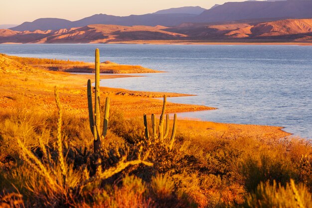 Arizona Landschaften, USA