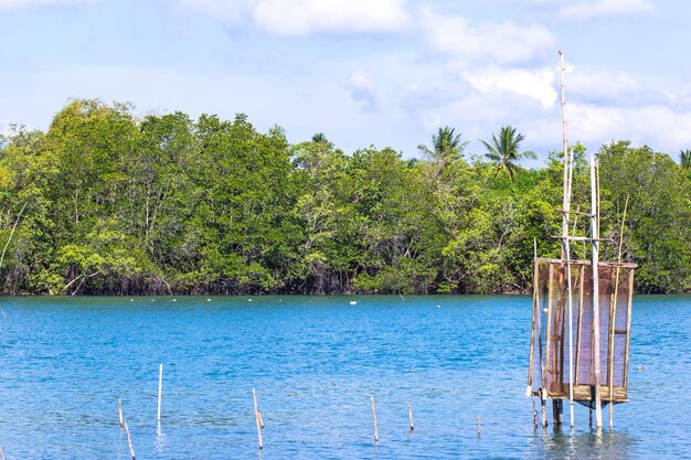 Foto armadilha para peixes de cesta para capturar caranguejos e peixes