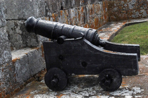 Foto armas de guerra exhibidas para su visita