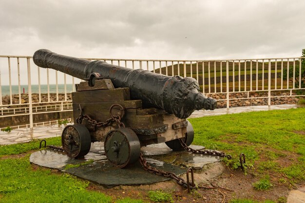 Armas de guerra exhibidas para su visita