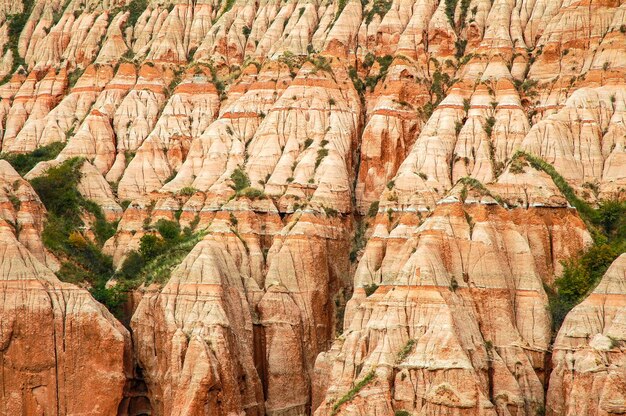 Foto armas rojas con fósiles de dinosaurios reserva geológica