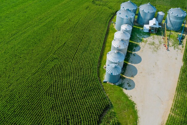 Armazenamento de produtos agrícolas com agroelevador em silos de prata para processamento de secagem de limpeza de vista panorâmica