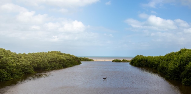 Foto armonía costera donde el río se encuentra con el océano en el caribe colombiano