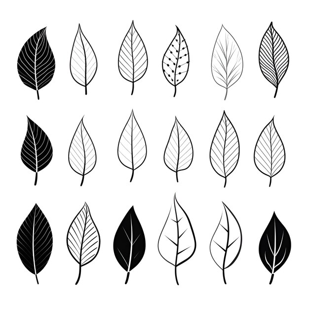 La armonía de la tinta celebra el arte de las hojas monocromáticas