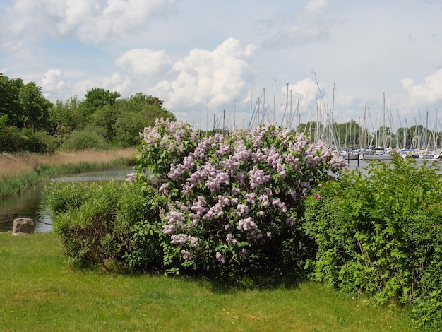 Foto arnis am fluss schlei in deutschland.