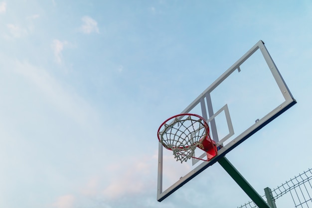 Aro de baloncesto en el fondo del bosque por la noche