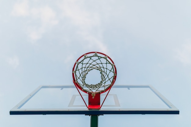 Aro de baloncesto en el fondo del bosque por la noche