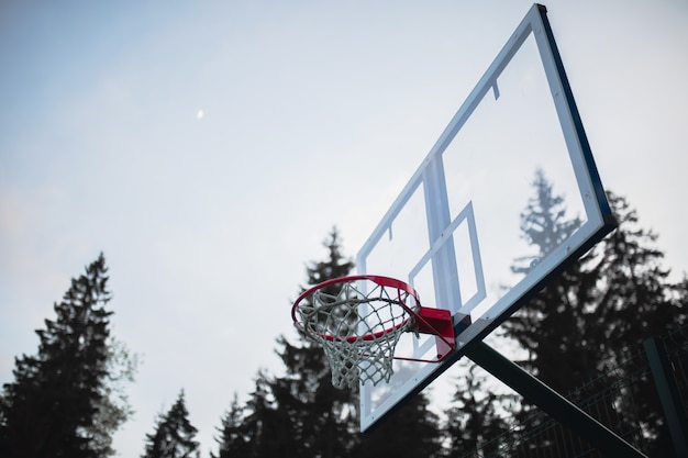 Aro de baloncesto en el fondo del bosque por la noche