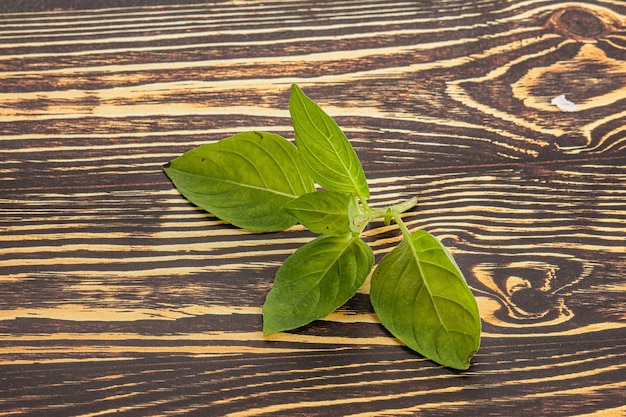 Aroma de condimento de hojas de albahaca verde cruda