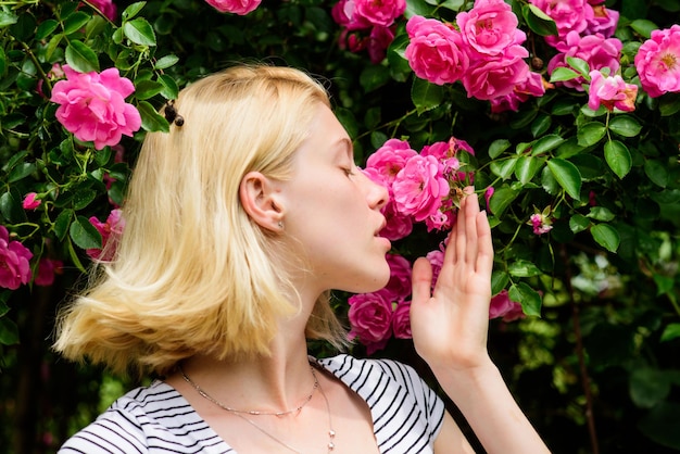 Aroma de rosas Menina adorável loira cheirando fragrância de flor rosa Primavera e verão Perfumes e cosméticos Mulher na frente de um arbusto de rosas desabrochando Flor de rosas selvagens Conceito de jardim secreto