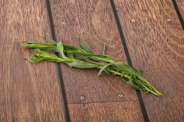 Aroma de especias de hierba de estragón verde para cocinar