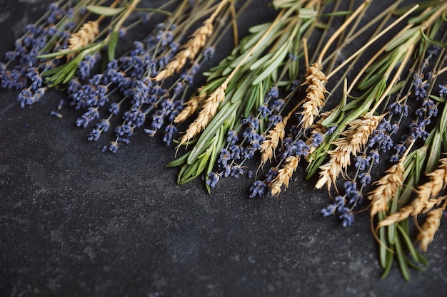 Aromaterapia, Ervas curativas, Roseberry, trigo e lavanda, Copiar espaço, Vista superior, Fundo escuro