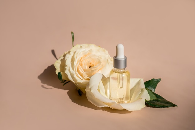 Aromaterapia. flor branca e pétalas, óleo essencial de rosa em frasco de vidro. . foto de alta qualidade