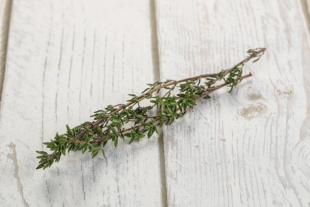 Foto aromatische gewürzpflanze thymian