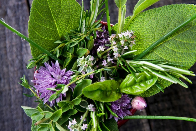 Foto aromen von kräutern