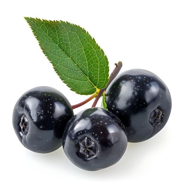 Aronia Berry Fruit com pequena forma redonda e cor preta Ta Clipart isolado em branco BG Foto