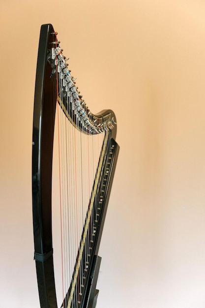 Arpa electrónica La evolución del instrumento musical