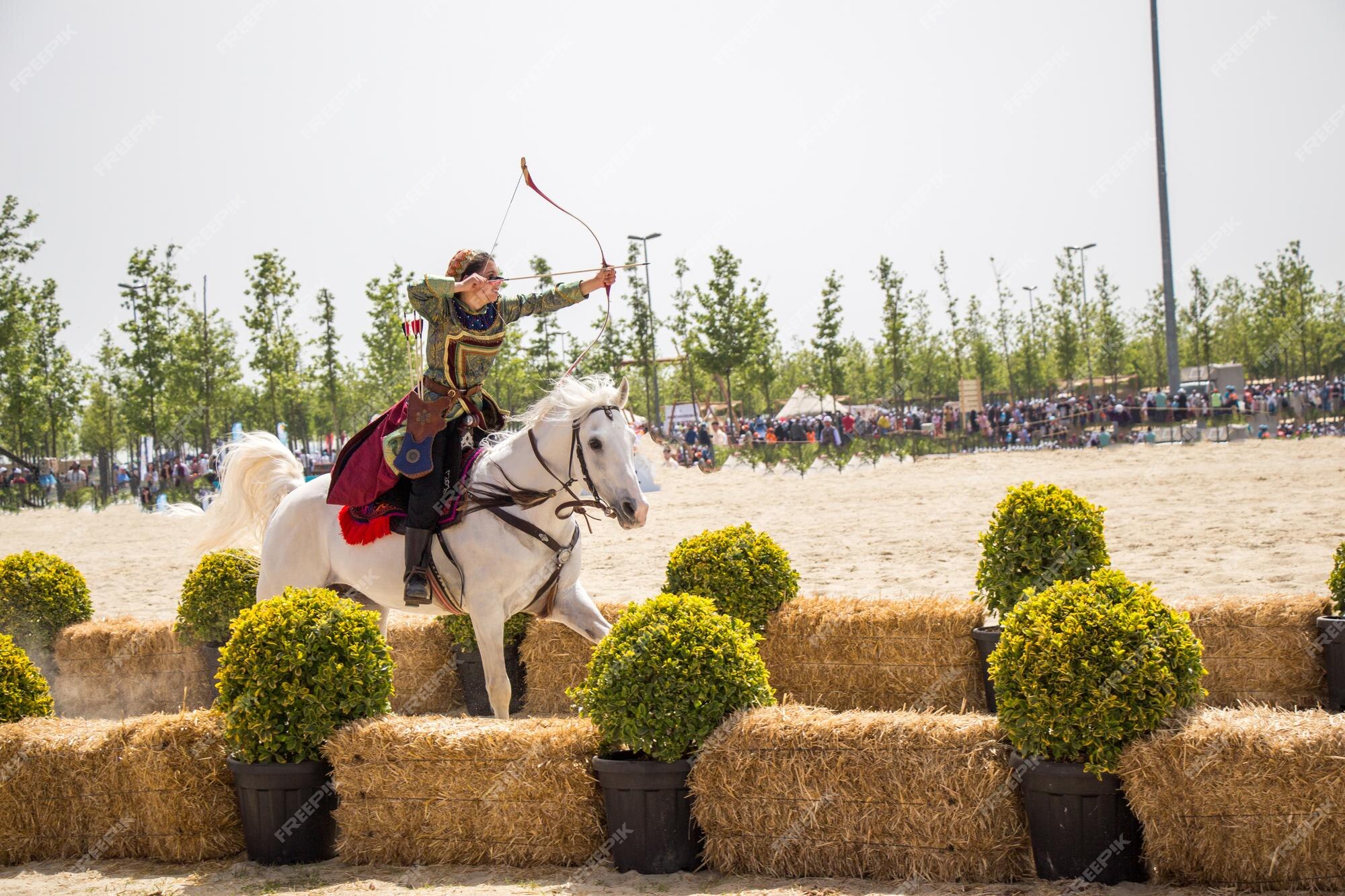 Hipismo Obstaculo Imagens – Download Grátis no Freepik