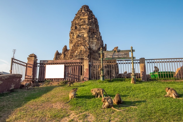 Arquitectura antigua ruina Phra Prang Sam Yot Temple con monos