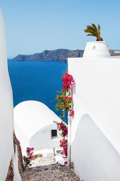 Arquitectura blanca y mar azul en la isla de Santorini, Grecia. Destino de viaje famoso