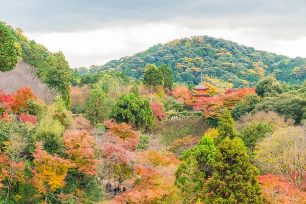 Arquitectura hermosa en el templo Kyoto de Kiyomizu-dera ,.