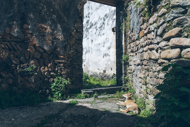 Arquitetura chinesa antiga e parede de pedra