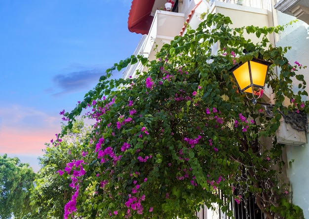 Arquitetura colonial colorida de porto rico no centro histórico da cidade