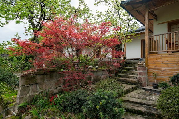 Arquitetura de estilo japonês e arquitetura paisagística