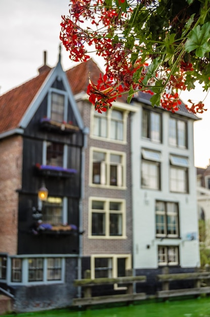 Arquitetura e vista do canal em Alkmaar, Holanda