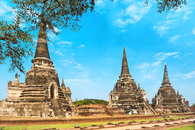 Arquitetura histórica das ruínas da Tailândia da antiga capital do Sião Ayutthaya Vista para três chedies brancos do templo Wat Pra Si Sanphet