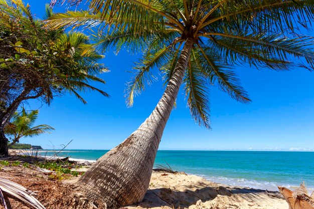 Arraial d'Ajuda ist ein Ortsteil der brasilianischen Gemeinde Porto Seguro an der Küste des Bundesstaates Bahia