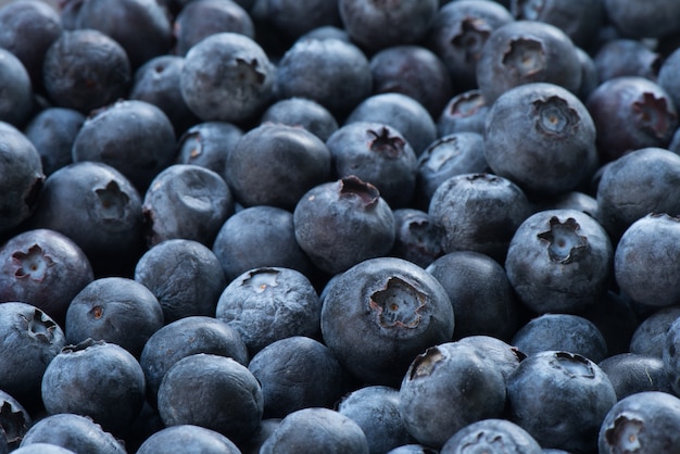 Arrangement reifen Blaubeeren Hintergrund