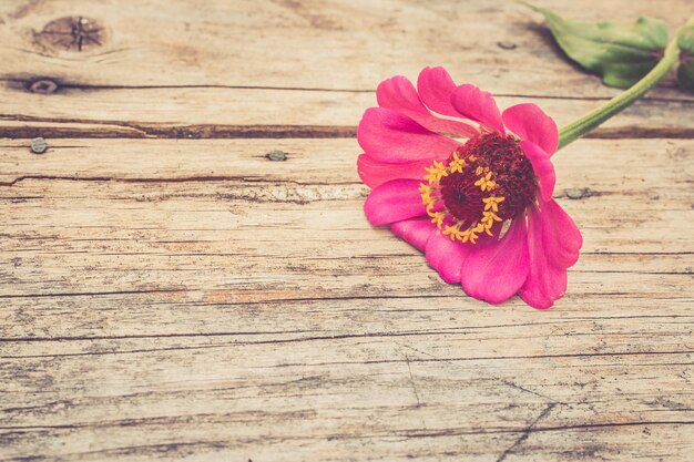 Arrangement von schönen süßen Blumen auf einem rustikalen Holztisch Platz kopieren