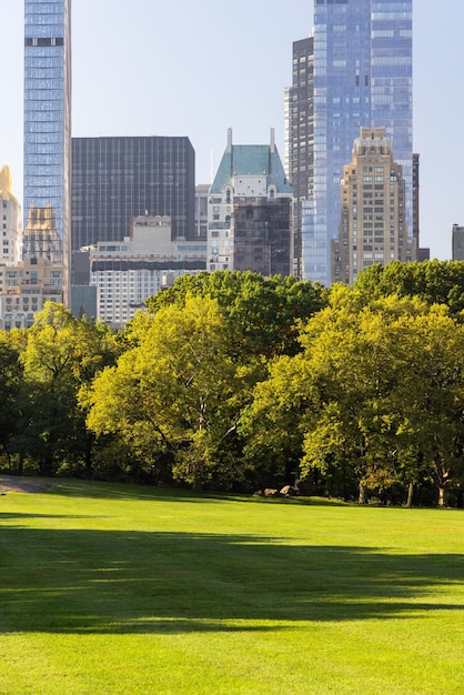 Foto arranha-céus de manhattan e central park