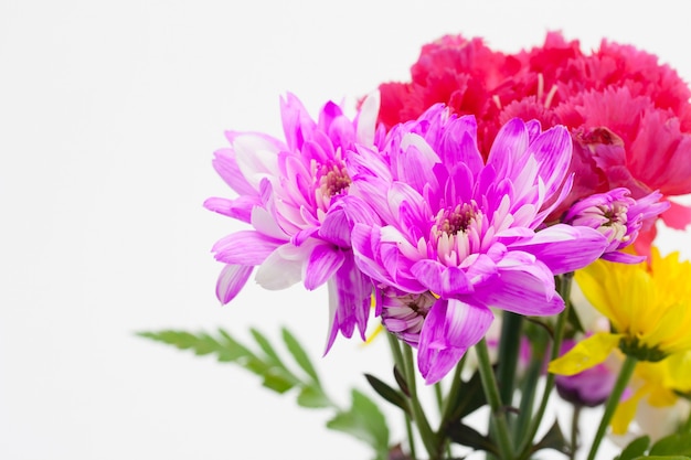 Arranjo de buquê de flores coloridas em fundo branco